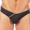 Gregg Homme 112103 Forplay Briefs Underwear 1 Gregg Homme 112103 Forplay Briefs Underwear