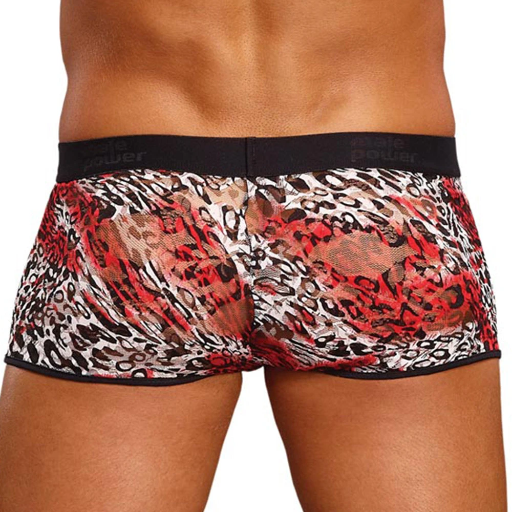 Male Power 150-174 Leopard Lace Enhancer Pouch Short Black And Brown 4 Male Power 150-174 Leopard Lace Enhancer Pouch Short Black And Brown