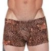 Male Power 153-030 Pouch Short Leopard