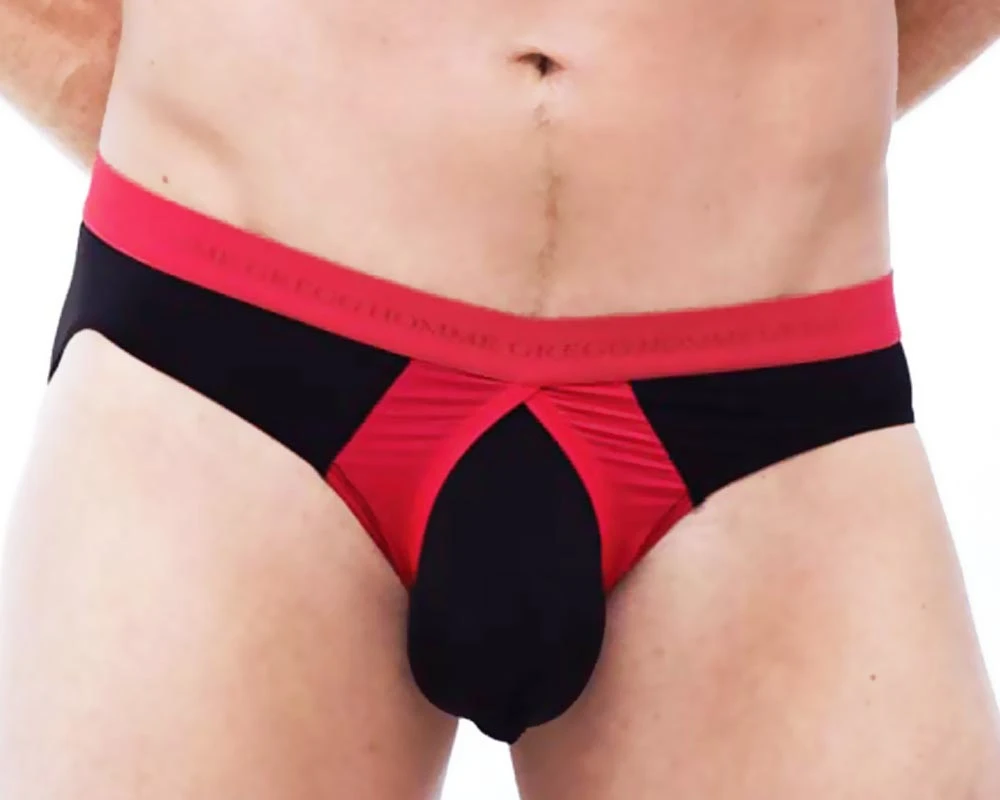 Gregg Homme 87303 Pump Up Brief Underwear 3 Gregg Homme 87303 Pump Up Brief Underwear