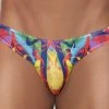 Daniel Alexander DA645 Explosion Slip Bikini