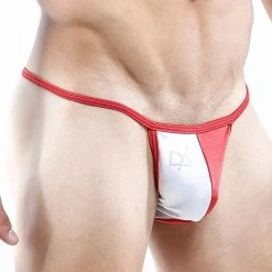 Daniel Alexander DAI015 Trip To Explore Slip Bikini