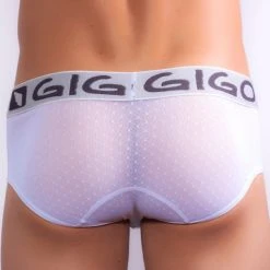 Gigo G01001 Gauzy Brief