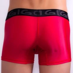 Underwear Gigo G04002 Lushness Boxer Long