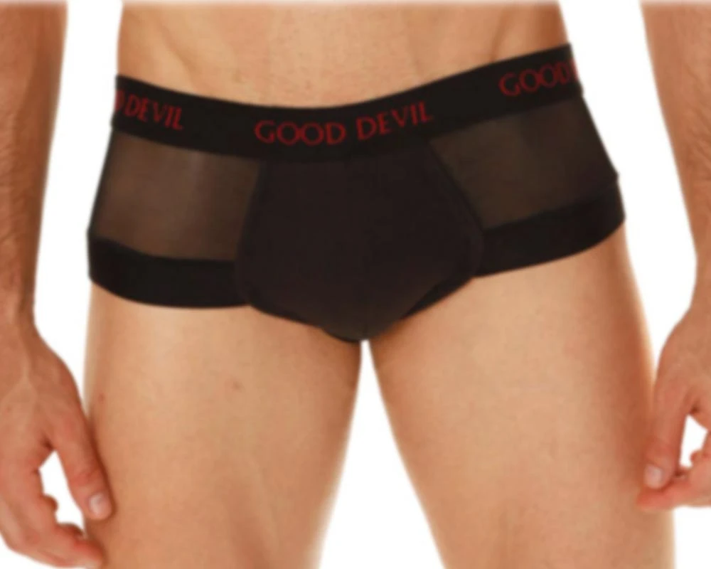 Good Devil GD722 Rotica Sheer Cheeky Brief 6 Good Devil GD722 Rotica Sheer Cheeky Brief