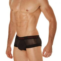 Good Devil GD722 Rotica Sheer Cheeky Brief 10 Good Devil GD722 Rotica Sheer Cheeky Brief