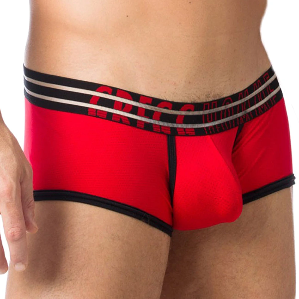 Gregg Homme Gregg Homme102805 Boxer Brief 3 Gregg Homme Gregg Homme102805 Boxer Brief