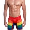 Mensuas MN0870 Pride Flag Long Boxer