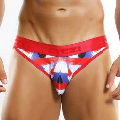 Otzi OT3608 Passionate Brush Strokes Bikini Brief