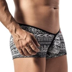 Pikante 8398 Nozomi Boxer