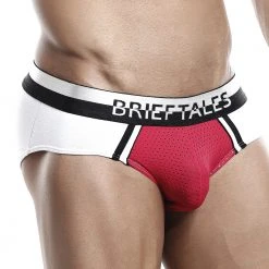 Brieftales Brief Tales BTJ004 Brief Mesh Underwear