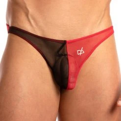 What's New Daniel Alexander DAI066 Bikini 14 What's New Daniel Alexander DAI066 Bikini