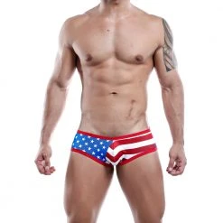 Daniel Alexander DAJ008 Brief