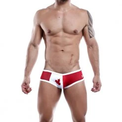 Daniel Alexander DAJ009 Brief 11 Daniel Alexander DAJ009 Brief