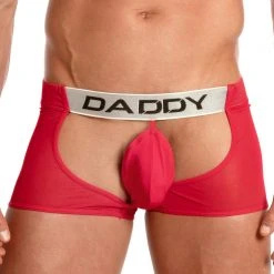 What's New Daddy Underwear DDE036 Assless Jock