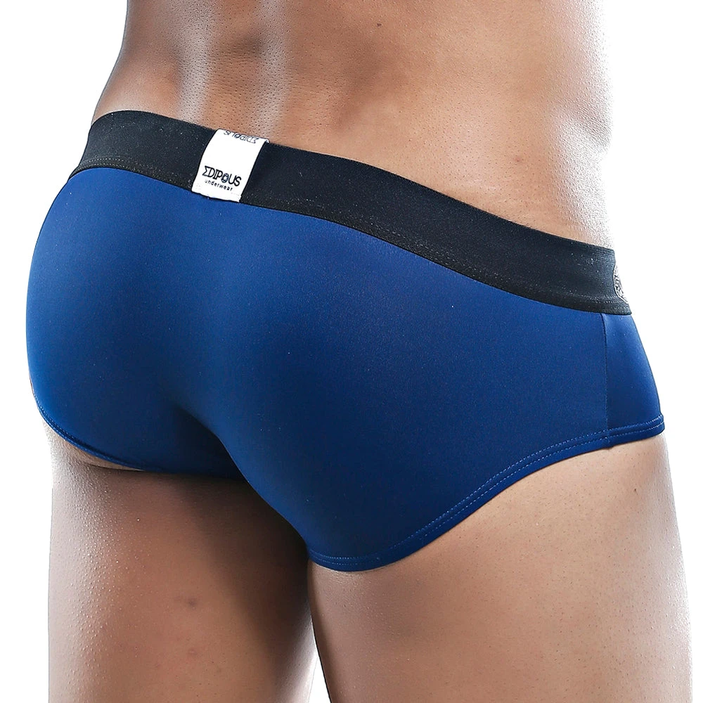 Edipous EDH005 Brief 5 Edipous EDH005 Brief