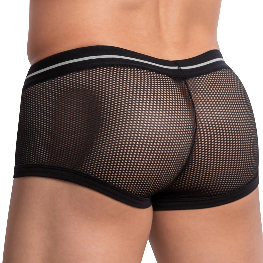 Feel FEG024 Bruselas Boxer What's New 6 Feel FEG024 Bruselas Boxer What's New