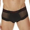 Good Devil GD622 Rotica Sheer Brief