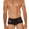 Good Devil GD722 Rotica Sheer Cheeky Brief