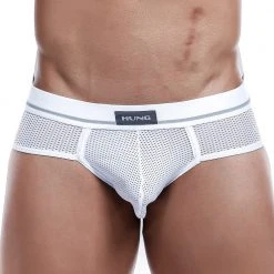 Hung HGJ001 Brief Mesh Underwear