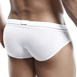 Mesh Underwear Hung HGJ005 Brief