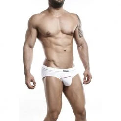 Mesh Underwear Hung HGJ005 Brief 11 Mesh Underwear Hung HGJ005 Brief