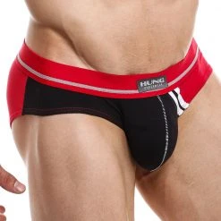 Underwear Hung HGJ010 Brief