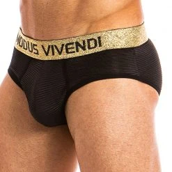 Modus Vivendi 20813 Festive Lux Brief 10 Modus Vivendi 20813 Festive Lux Brief
