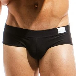 MODUS VIVENDI MS1811 Basics Brief