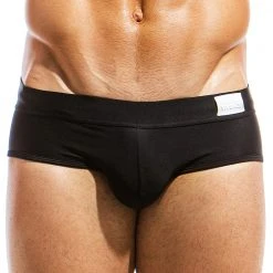 MODUS VIVENDI MS1811 Basics Brief
