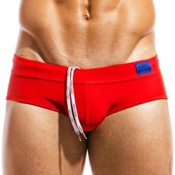 MODUS VIVENDI MS1811 Basics Brief